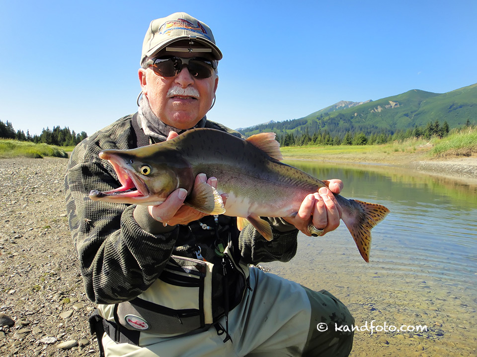 Fly Fisherman with Silver Salmon.