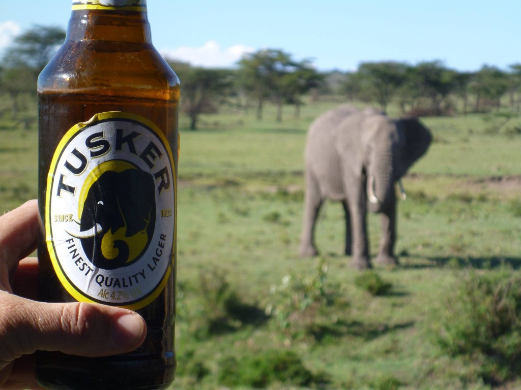 Serving Elephants and African Beer